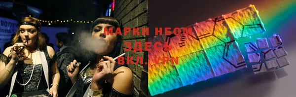 шишки Беломорск