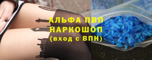 гидра Михайловск