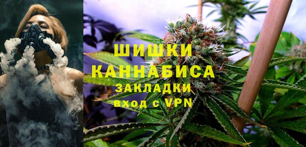 шишки Беломорск