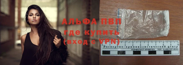 шишки Беломорск