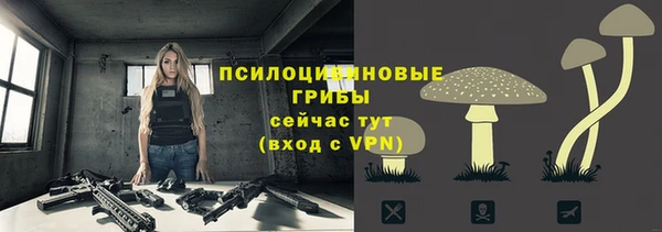 шишки Беломорск